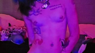 Fox chick plays and zaps! Tug my tail??