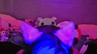 Fox chick plays and zaps! Tug my tail??