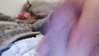 De vuelta del ver ano