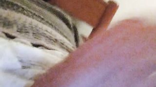 De vuelta del ver ano