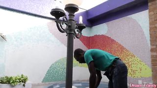 DESIRE TRANSGIRL - Light-haired Tgirl Pamela Lenvisk Hankers Dark Meat