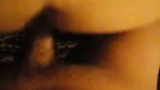 POINT OF VIEW PAPI SCREWING PLUMPER TRANS