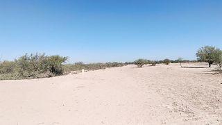 Dulce trans caliente con vestido y tacones verdes le gusta desnudarse en publico con su arse y pene