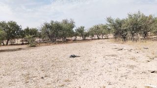 Puta travesti caliente desnuda en publico con cork en el arse tacones altos y pene caliente disfruta