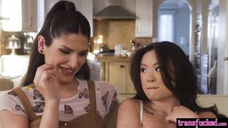 Truth or creampie with horny shemale