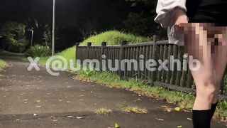 JAPANESE Crossdresser jacks bare in a park at night