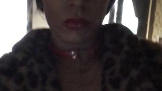 Satan angel Sarah Bella transsexual punheta hand job