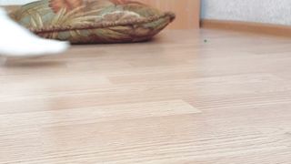 Solo trap - home alone have fun - femboy sissy