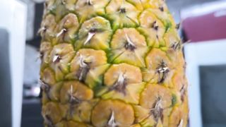 FOLLANDO PIÑA PUMMELING PINEAPPLE