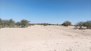 linda travesti puta en minifalda butt-plug rectal y tacones muy deliciosa y caliente disfrutala