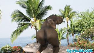 Nubian debutante draining knob in solo vignette