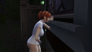 window peeper witnesses duo