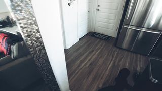 TATTED TRANS DAME DESIRED CANDIES ~ GOT RUMP ROMPED INSTEAD