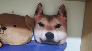 Melissa Leal Trans and Suzie Cockslut boinking stiff