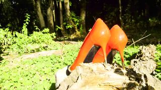 Mesmeriza_compilation_11_Island_of_Wishes_