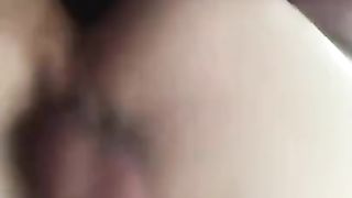 Egyptian Kitty gettin Whiteboi prepped