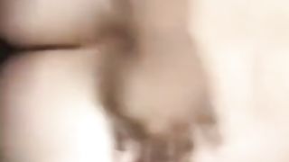 Egyptian Kitty boinking my bootie