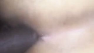 Ambled in on Transsexual Bum Up ( Doggie-Style No Condom)