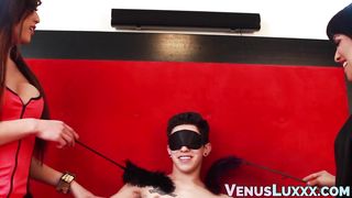 Juicy tits Asian tranny Venus Lux gets sticky facial in 3way