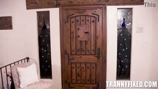 It's A Trans Sandwich (And I'm The Meat!) two - Eva Maxim, Jade Venus, Rory Knox