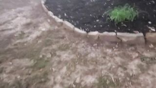 Ginger-haired trans damsel humped in public park by Dad