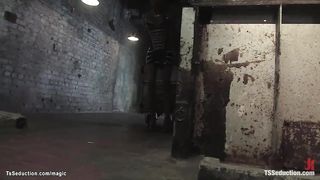 Transgirl nails strapped cuckold stud