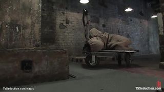 Transgirl nails strapped cuckold stud