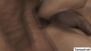 Trampy Tgirl Zariah Aura arse porked by Rodrigo Amor