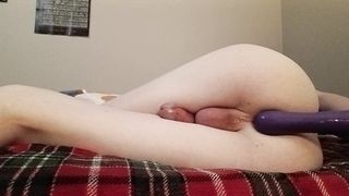 Drilling my rump till my gams jiggle