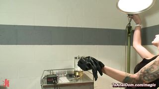 Shemale and babe and man in threesome in tattoo shop