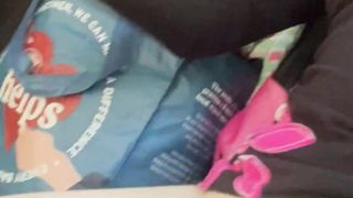 Kitty’s bus rail home from P-town