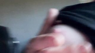 Kitty’s bus rail home from P-town