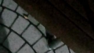 [Abnormal outdoor exposure] Peeing in the wind [Crossdressing Momiji]