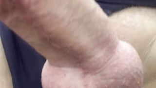 Kitty takes a lunch break at Thompson’s Island