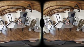 VRB Trans: Nasty TRANSSEXUAL Ladyboy Tailor Emma Rose Is Taking a Ginormous Manstick In the Donk Sans a condom - VR Porno