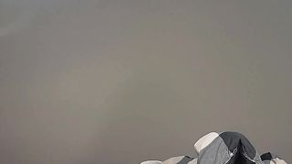 Super-fucking-hot trans fledgling drills booty and pops