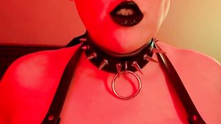 Liber De Daemone Synthetica