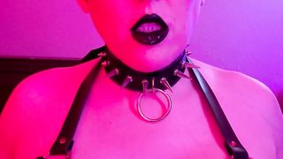 Liber De Daemone Synthetica