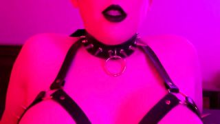 Liber De Daemone Synthetica