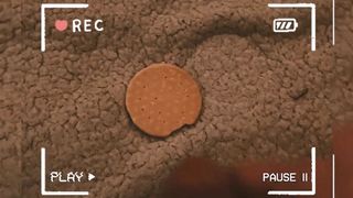 I FOUND THIS VID OF MY FEMBOY NEPHEW AND NOW I KNOW WHAT HAPPENED TO MISSING COOKIES // ROLEPLAY