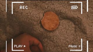 I FOUND THIS VID OF MY FEMBOY NEPHEW AND NOW I KNOW WHAT HAPPENED TO MISSING COOKIES // ROLEPLAY