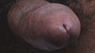 Magic Vibrator Edging to Hasmik Jerk Off Instructions with female precum!