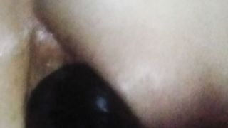 meine Rosette braucht täglich ihre Schwänze