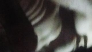 meine Rosette braucht täglich ihre Schwänze