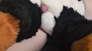 Hairy Teenage(+eighteen)Step Daughter-in-law learns to satisfy her Guy Mutt Parent