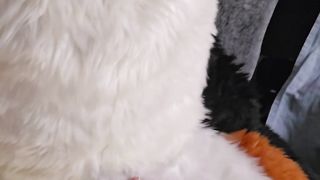 Hairy Teenage(+eighteen)Step Daughter-in-law learns to satisfy her Guy Mutt Parent