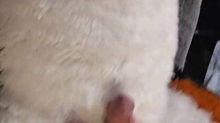 Hairy Teenage(+eighteen)Step Daughter-in-law learns to satisfy her Guy Mutt Parent