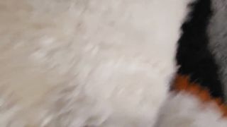 Hairy Teenage(+eighteen)Step Daughter-in-law learns to satisfy her Guy Mutt Parent