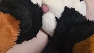 Pawjobs and Fellatios