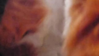 Pawjobs and Fellatios